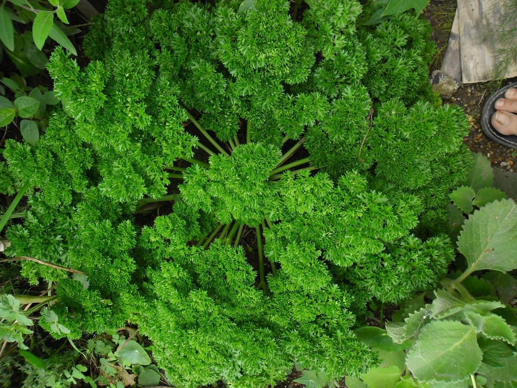 Rinconcito Verde Ujarrás Esterno foto